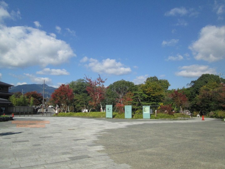 Arashiyama 1
